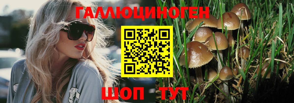 Галлюциногенные грибы MAGIC MUSHROOMS  Вход с VPN  Ейск  Псилоцибиновые грибы MAGIC MUSHROOMS 