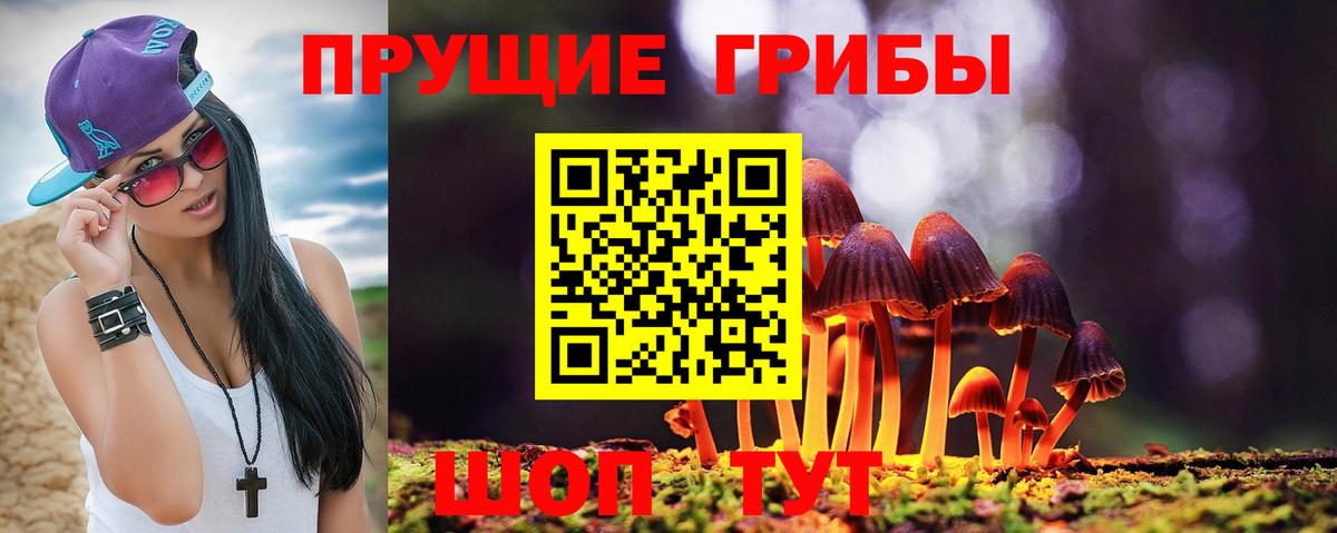 Псилоцибиновые грибы мухоморы Ейск